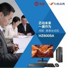 大唐高鸿 HZ600SA-M16Z152D